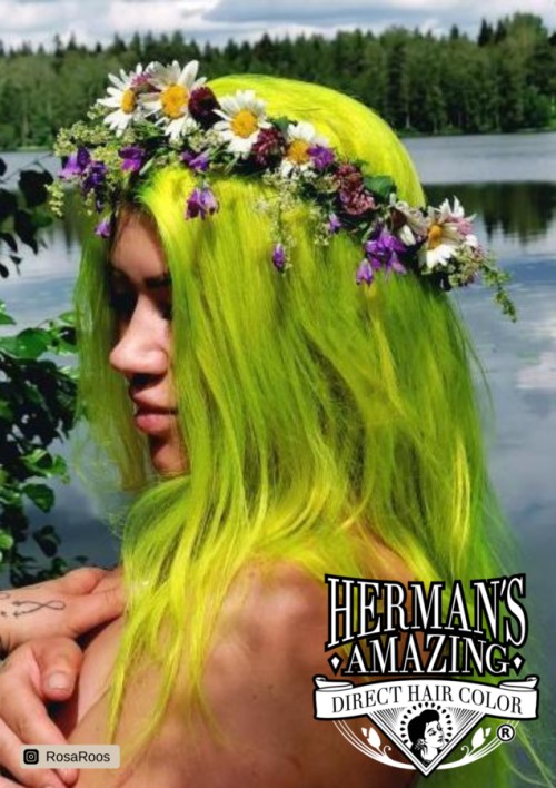 Herman's Amazing - Lemon Daisy